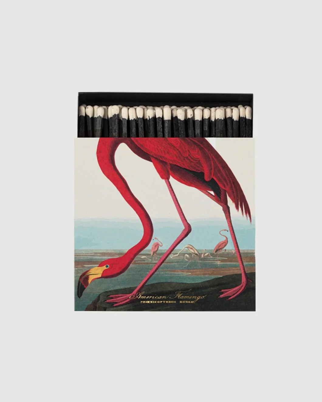 American Flamingo Matches