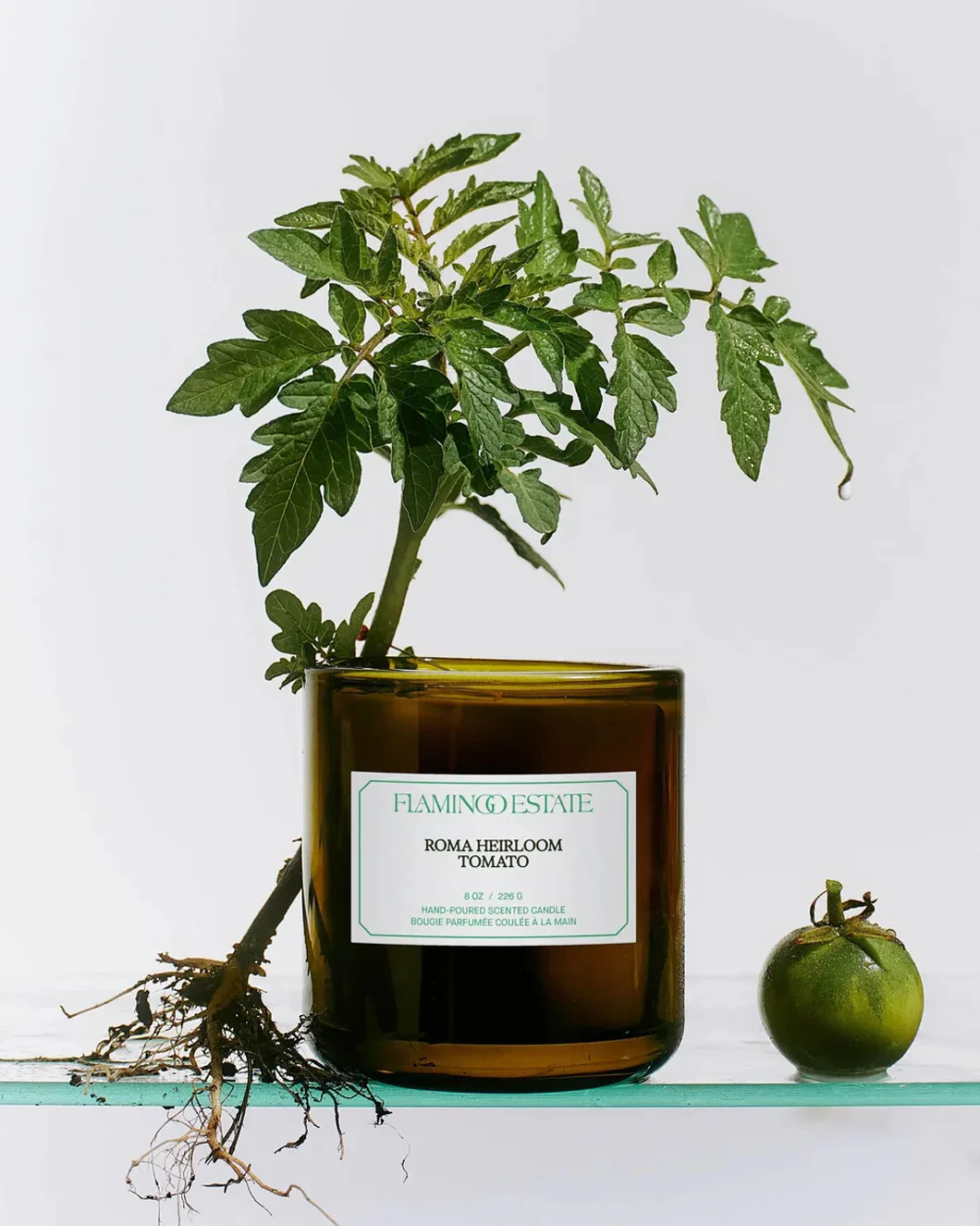 Roma Heirloom Tomato Candle - Image 2